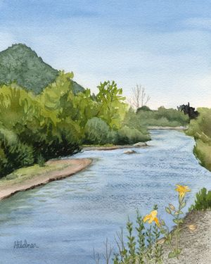 Spring by the Santa Ynez