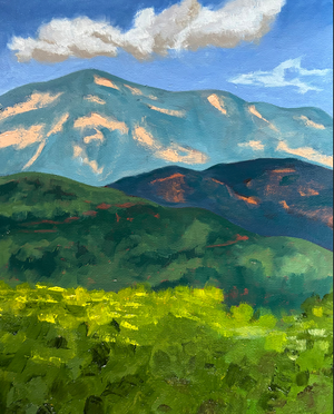 Springtime Mountain View