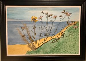 Cliff Aster and Friends
