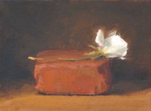 Blossom on Brick