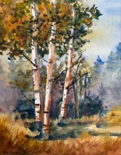 Into the Woods