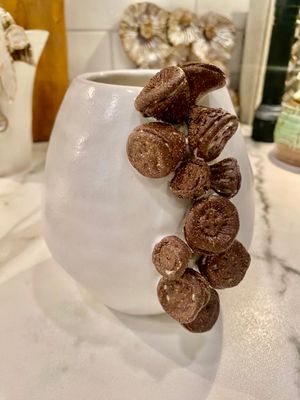 Pretty Seed Pods