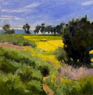 Spring, Carpinteria Bluffs