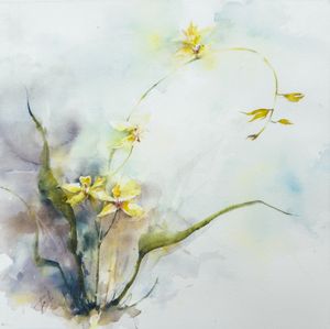 Trailing Orchid
