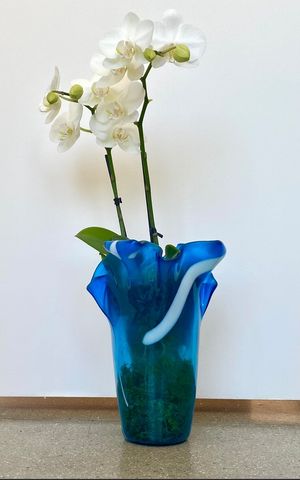 Towering Blue Delight