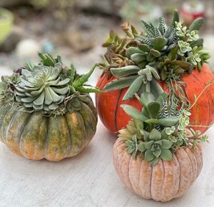 October 12: Pumpkin Centerpiece