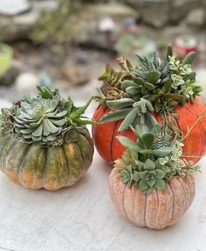 October 12: Pumpkin Centerpiece
