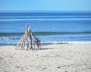 Carp Beach Art