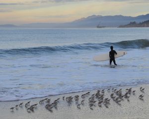 Morning Surf