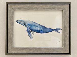Solo Whale
