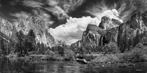 A Dragonfly in Yosemite Valley