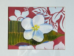 Hawaiian Plumeria Flower