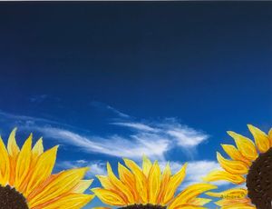 Reaching for the Sky