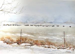 Winter Grazing