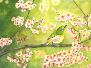 First Signs of Spring