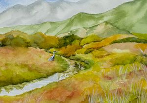 Salt Marsh in Summer
