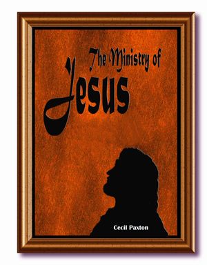 Ministry of Jesus - A Blind Man Healed