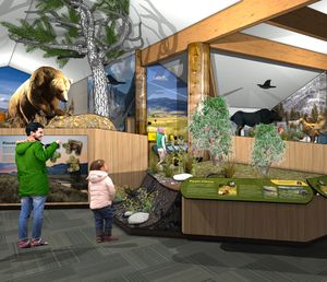 Museum Remodel Donation