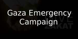 Gaza Emergency Campaign