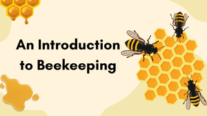 Introduction to Beekeeping