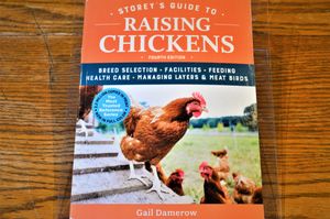 Story's Guide to Raising Chickens