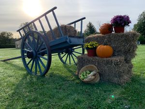 Homeschool Days: October 11th