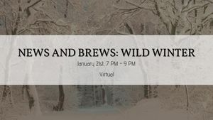 News and Brews: Wild Winter