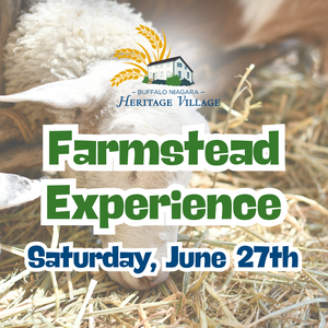 Farmstead Experience