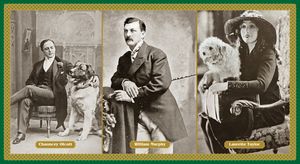 Mar 15 2026 2pm  Woodlawn's Irish Heritage Trolley Tour