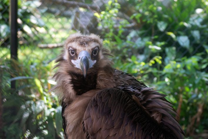 Buy Hydrocodone Online Fast and Reliable US Shipping