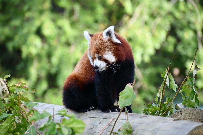 Buy Oxycontin 80mg Online Modern Online Buying with Clear Structure