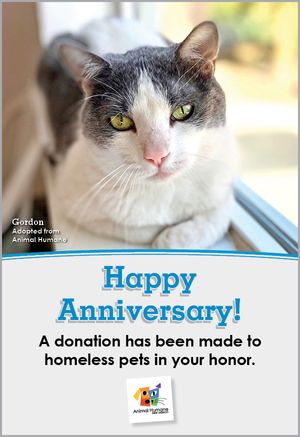 Anniversary - Cat Card