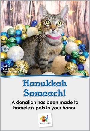 Hanukkah - Cat Card