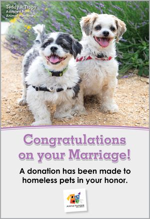 Marriage - Dog Card