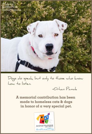 In Memory of Pet - Dog Card
