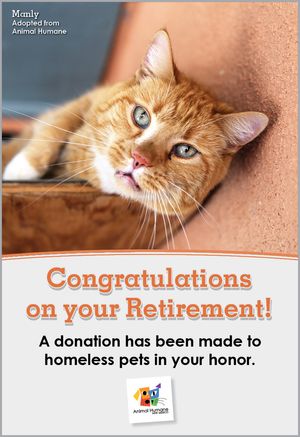 Retirement - Cat Card