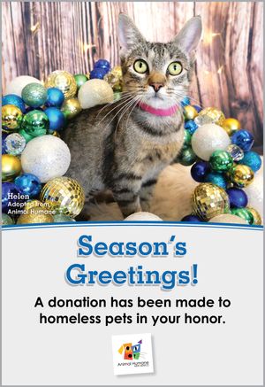 Season's Greetings  - Cat Card