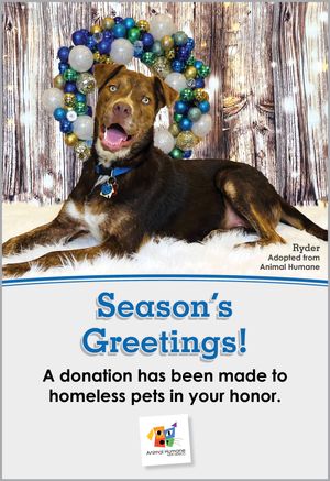 Season's Greetings  - Dog Card