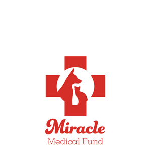 Miracle Medical Fund