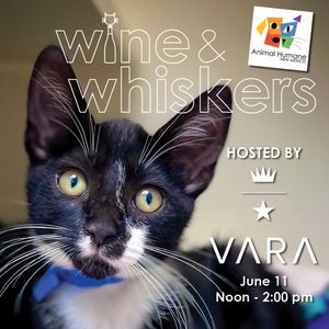 Wine & Whiskers