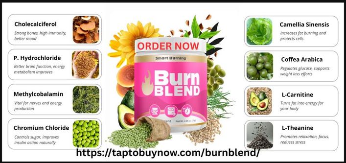Burn Blend 2026 The ''Thermogenic Circadian'' Breakthrough for Sustainable Fat Loss And Boosting Energy