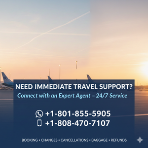 FAQs-Guideline _ How to speak directly at Delta Airlines