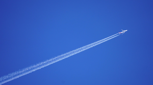 how-to-attribute-shift-to-quarantine-rule-update-with-turkish-airlines-from-houston-to-istanbul-international-flight