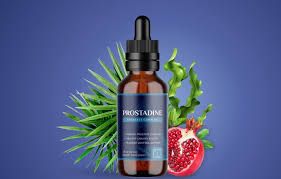 Prostadine Reviews 2026 The Advanced Protocol for Prostate Longevity and Urinary Flow