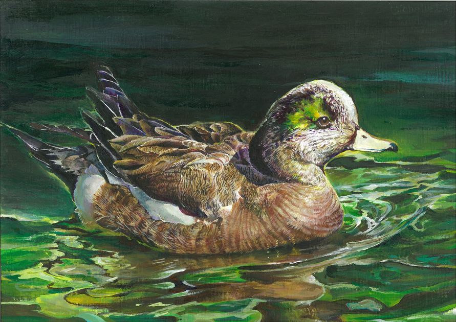 Freemont student wins California Digital Junior Duck Stamp Constest