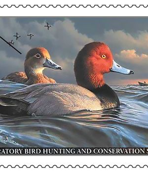 2022 FEDERAL DUCK STAMPS