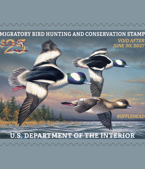 2026-2027 Federal Duck Stamps
