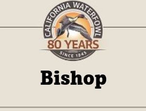 Bishop Tickets