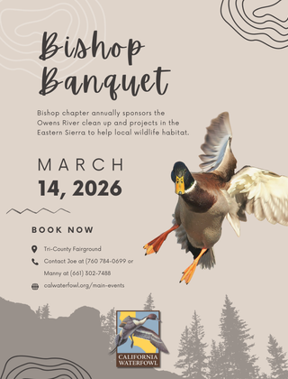 Image description here.