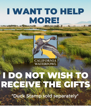 Make my donation go farther  *Duck Stamp sold separately*